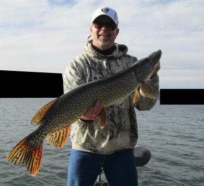 36 INCHER.jpg