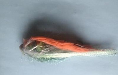 my pike fly2.jpg