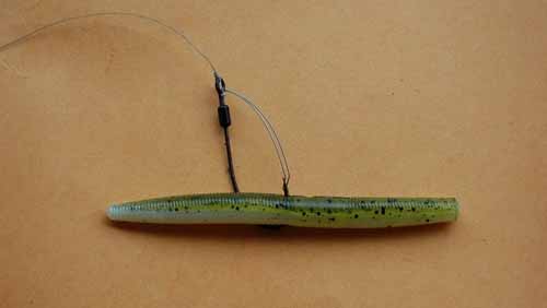 Rigging Worms for Bass - NWFR