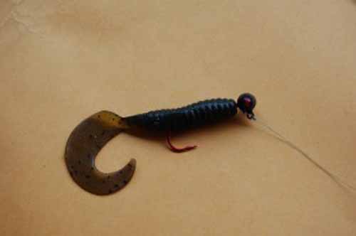 Rigging Worms for Bass - NWFR