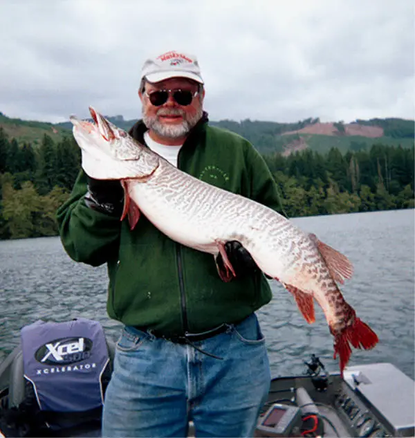 Three Keys to Early Season Musky Fishing – Musky Shop