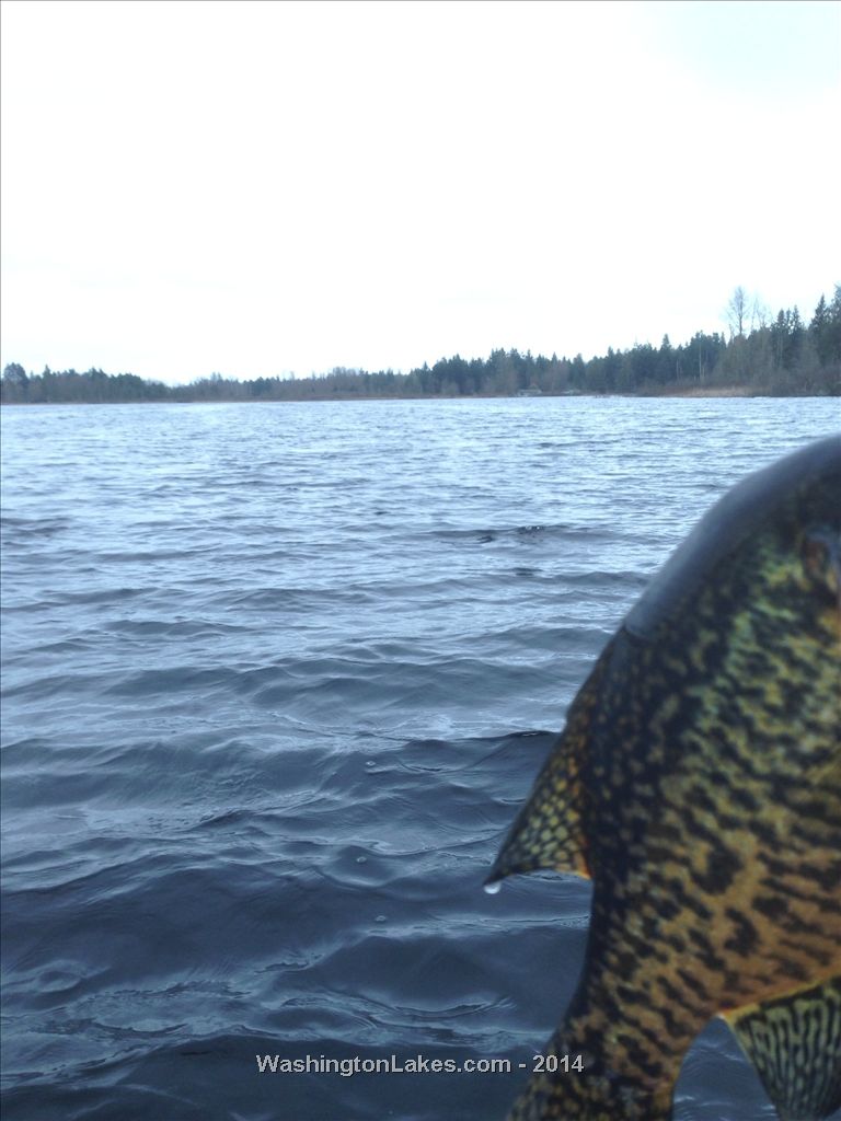 Cassidy Lake Report, Snohomish County, WA NWFR