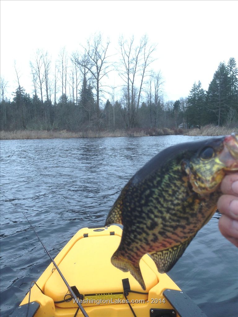 Cassidy Lake Report, Snohomish County, WA NWFR