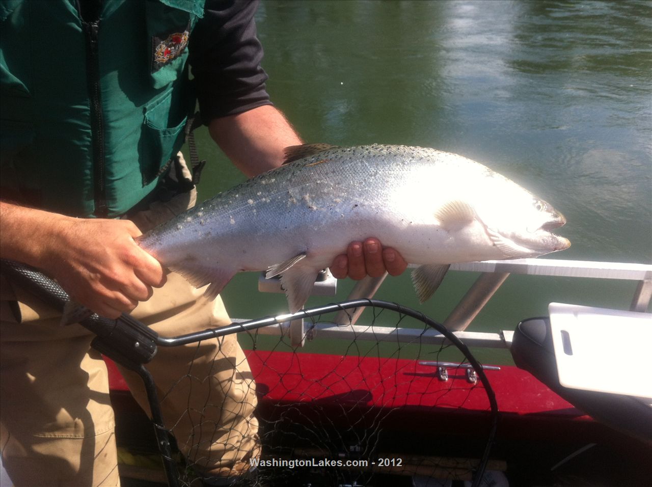 Skykomish River Report, Snohomish County, WA NWFR