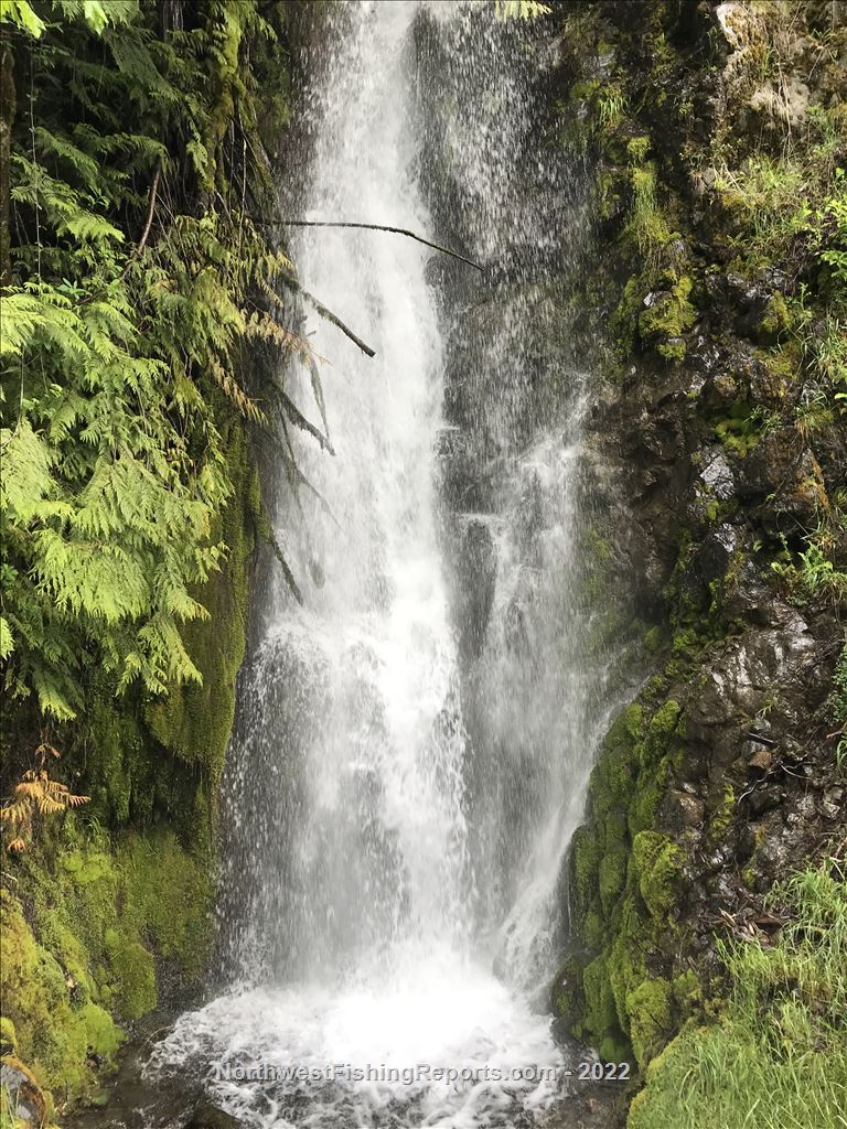 Cushman Lake Report, Mason County, WA NWFR