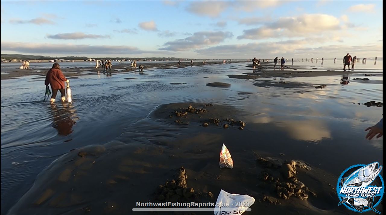 Area 2 Westport Ocean Shores Report, Washington NWFR