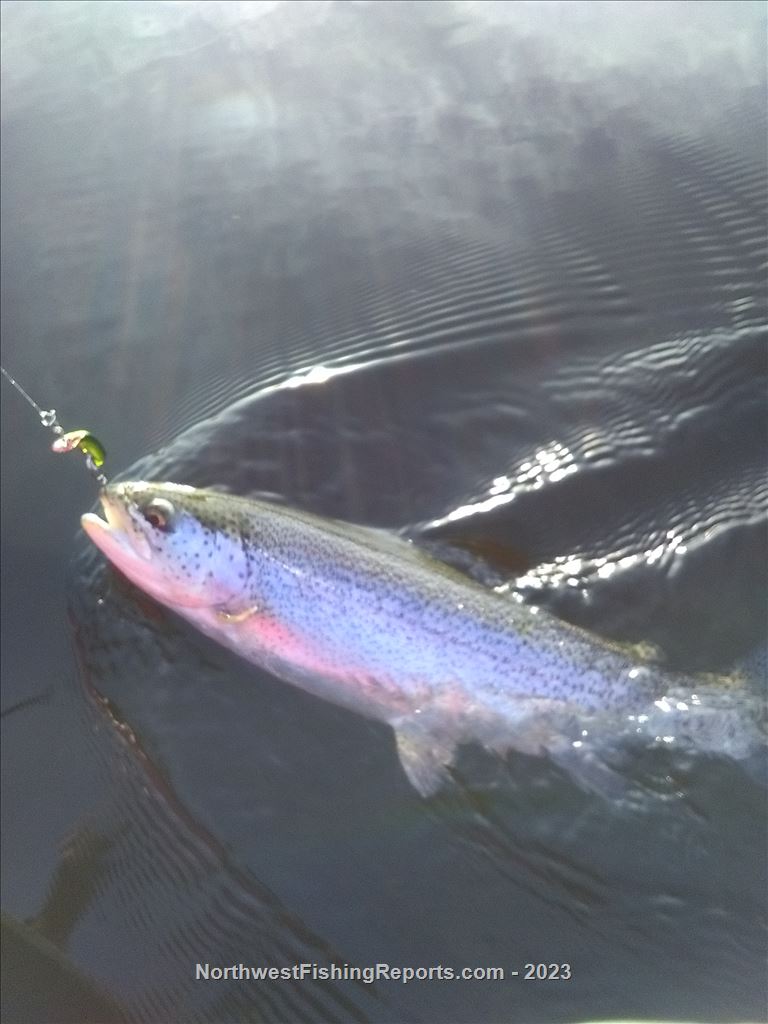 Blackman's Lake Report, Snohomish County, WA NWFR
