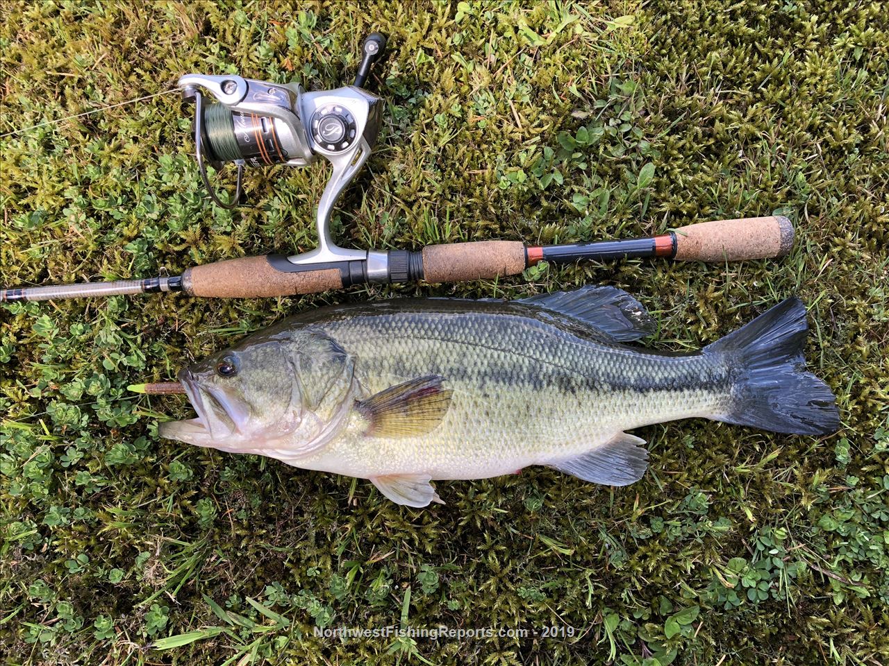 Long Lake Report, Kitsap County, WA - NWFR