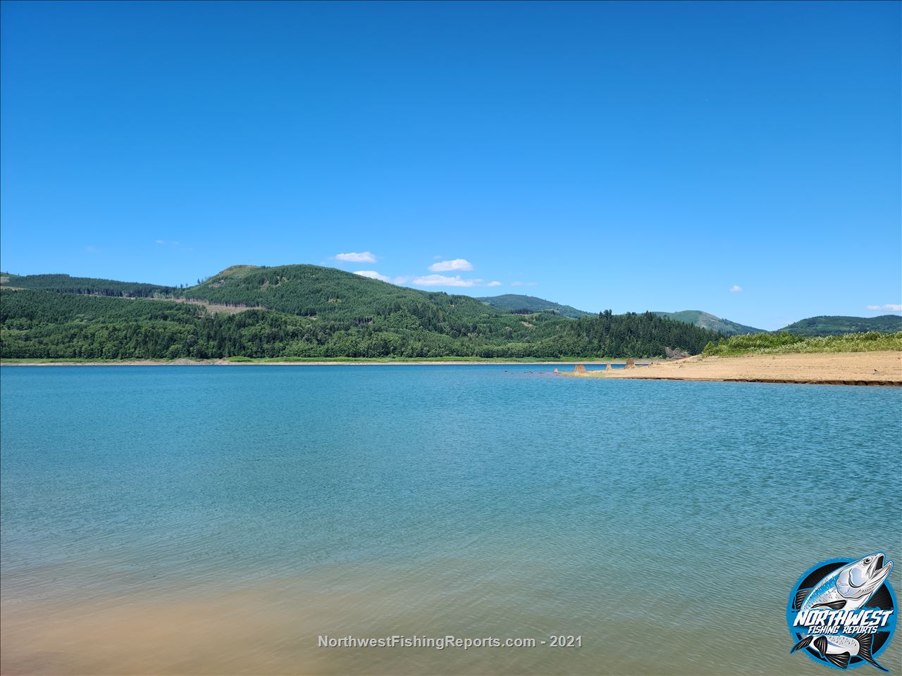 Vern Ruffi Wi Riffe Lake Report, Lewis County, WA - NWFR