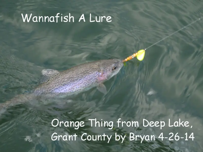 Rainbow from Deep Lake Grant County 1.JPG