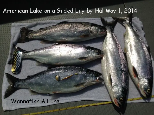 American Lake 5-1-14.JPG