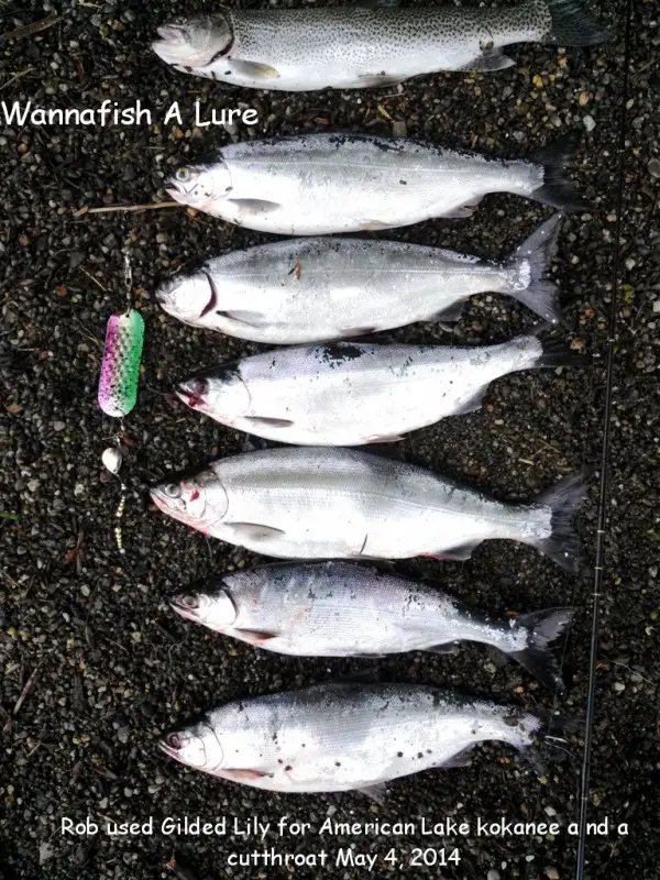 May 4 American Lake re.jpg