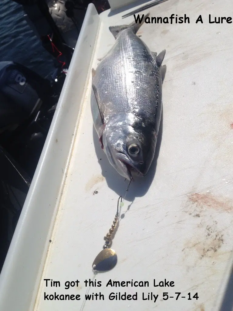 American Lake 5-7-14.jpg