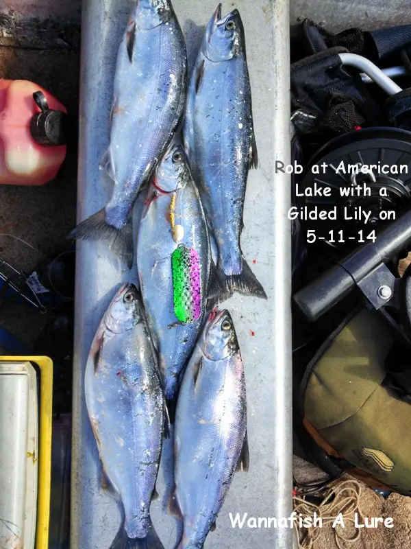 American 5-11 Mothers day.jpg