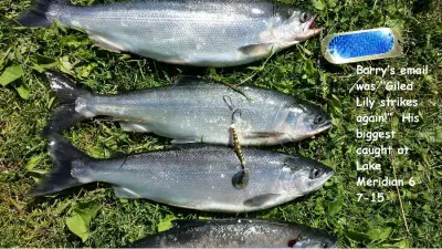 Barry Lake Meridian kokes 6-7-15.jpg