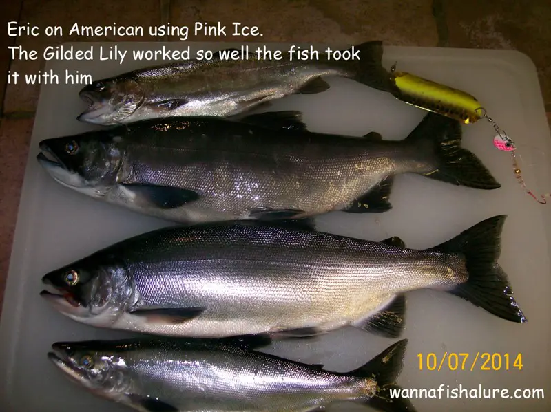 Eric 10-7 American catch.JPG