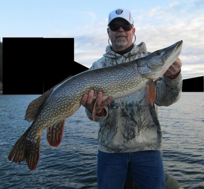39 INCHER.jpg