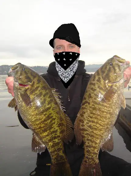 bass_wa.jpg