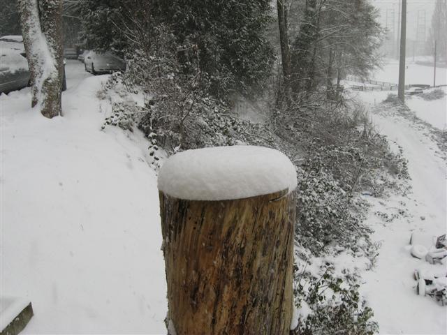 Snow_Dec_2008_032_Small.jpg