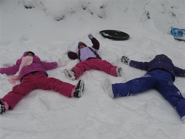 Snow_Dec_2008_2_005_Small.jpg