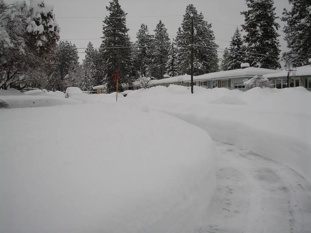 Winter_of_081_1.JPG