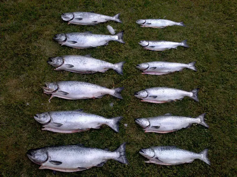 2010-07-16_08.19.33.jpg